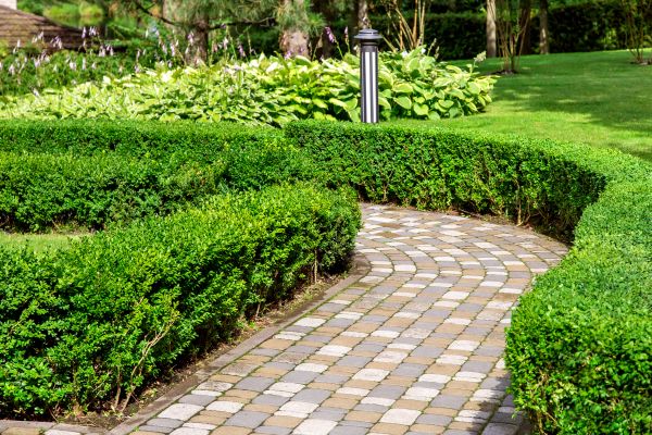 Paved Landscaping in Sugar Land