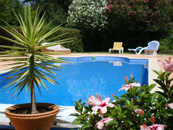 Pool Terrace Renovation in Sugar Land