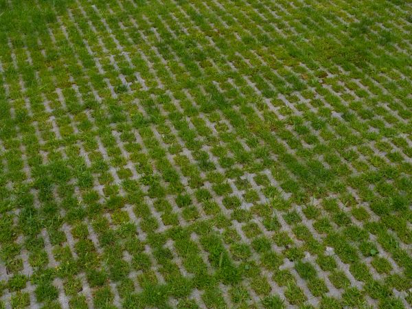 Permeable Pavement Service in Sugar Land